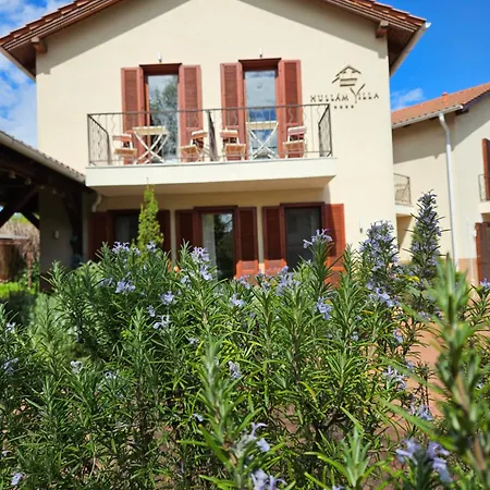 Hullam Villa B&B Balatonmariafurdo Exterior photo