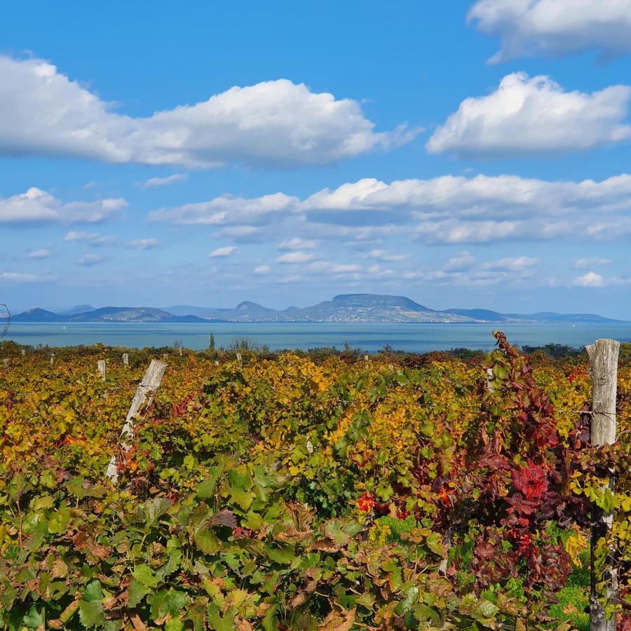 Hullám 4* Balatonmáriafürdő