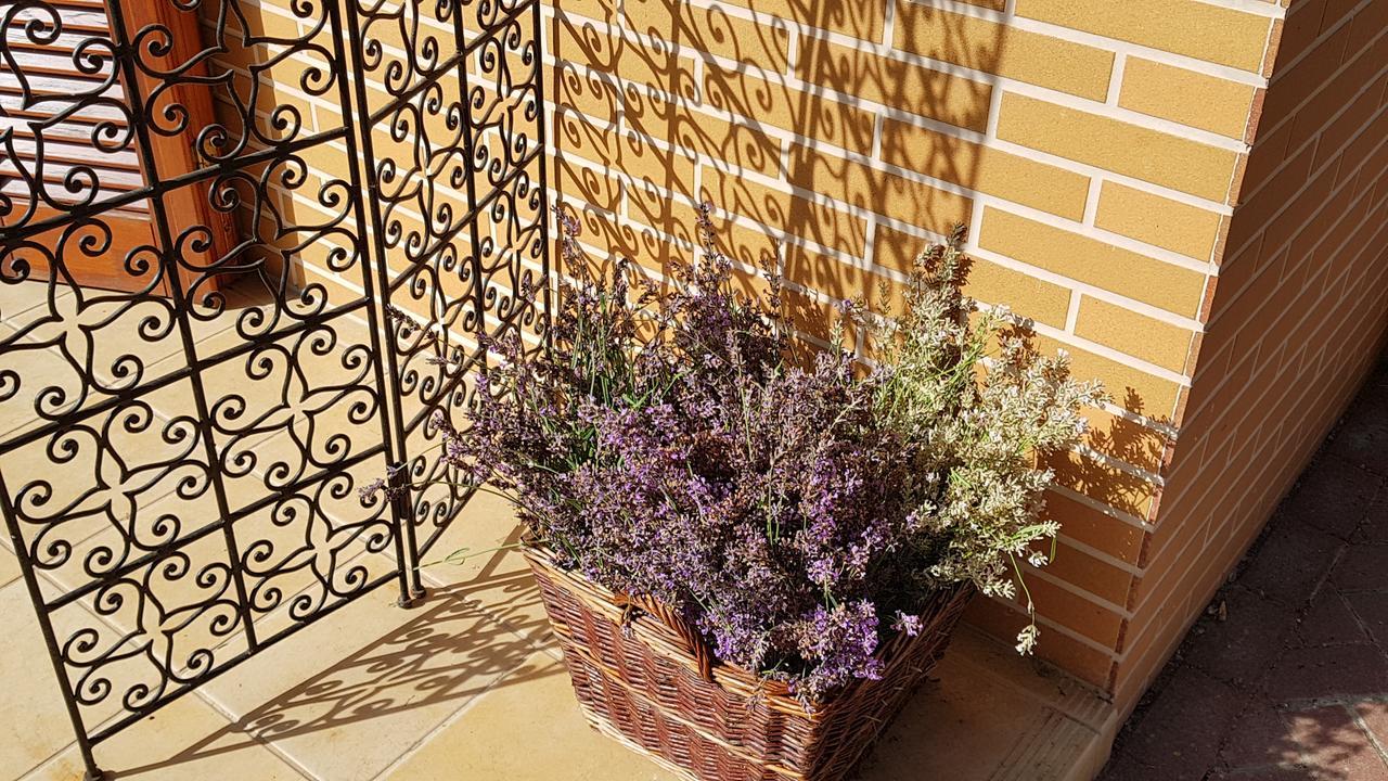 Hullám Bed and breakfast